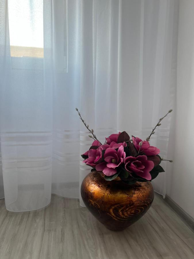Apartament Tudor Oradea Exterior photo